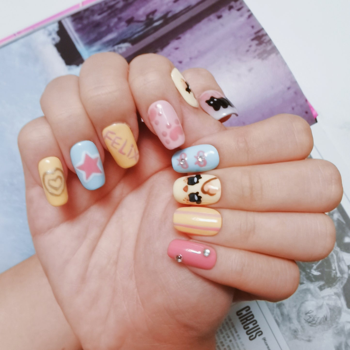 Fancy Chicken Lix Handmade Press On Nail